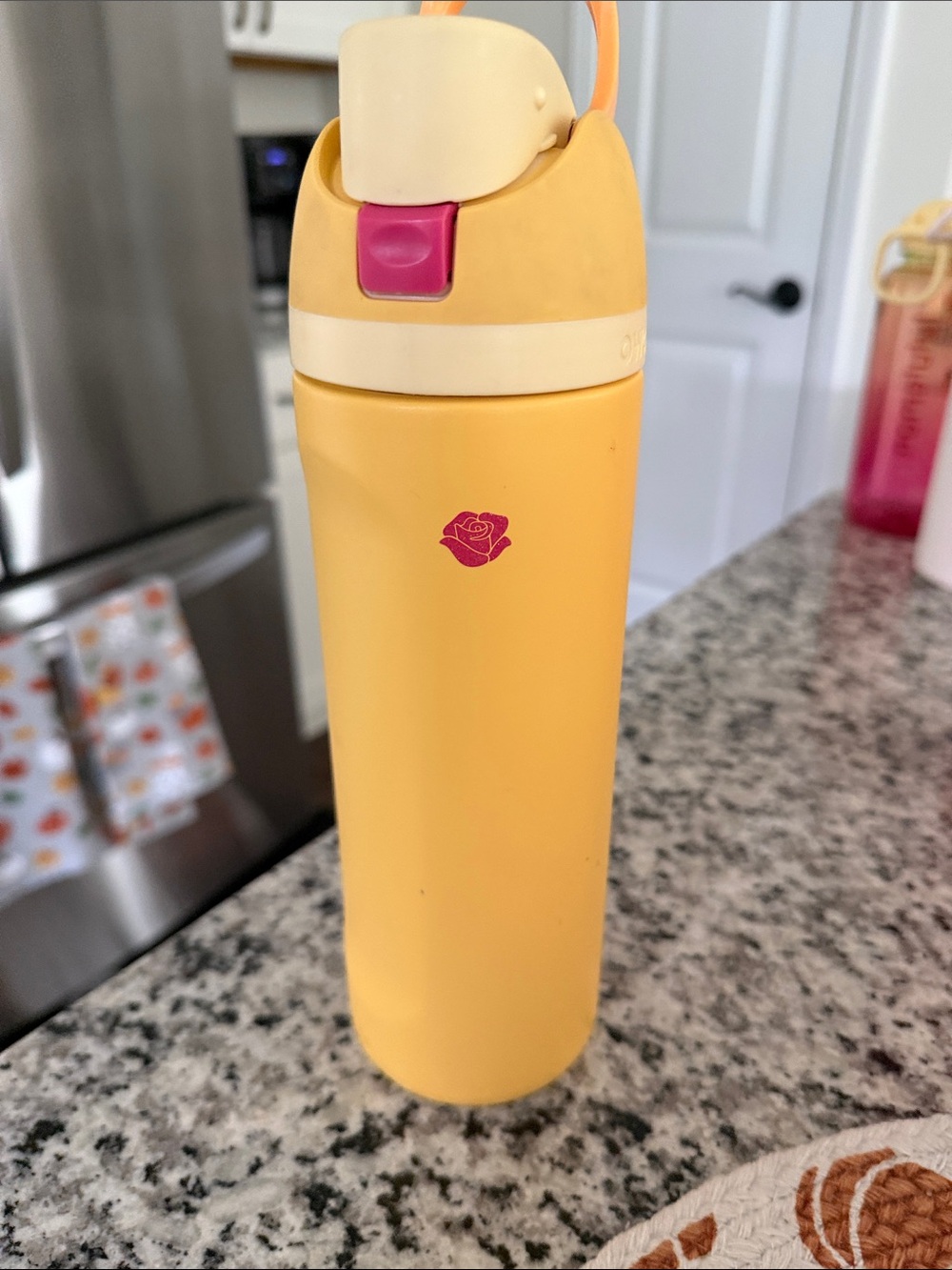 Owala Disney princess edition
